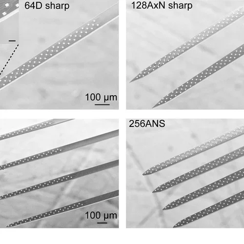 Closeup of different probes