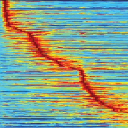 Brain recording with processed data.