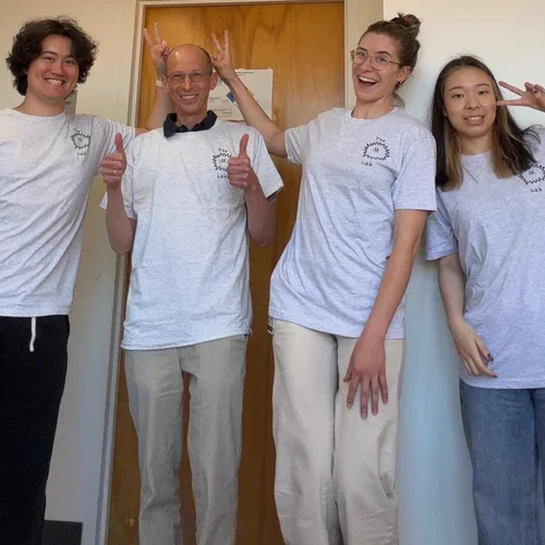 lab t-shirts