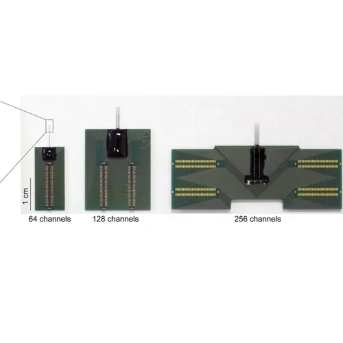Probe assemblies for acute head-fixed animal recordings
