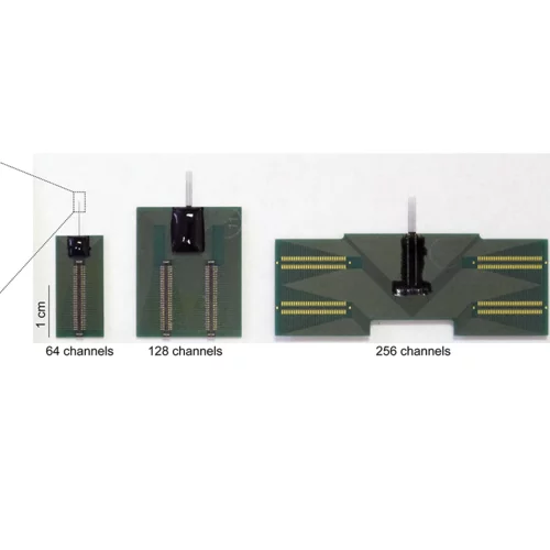 Probe assemblies for acute head-fixed animal recordings