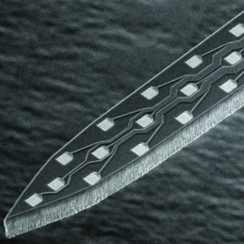Silicon probe
